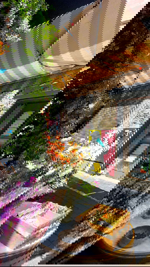 yaelxyazdi yaelxyazdi archive image