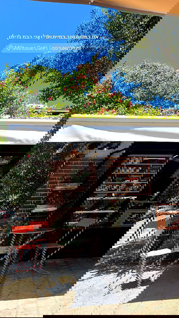 yaelxyazdi yaelxyazdi archive image