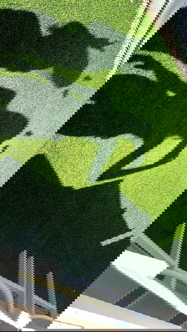 yaelxyazdi yaelxyazdi archive image