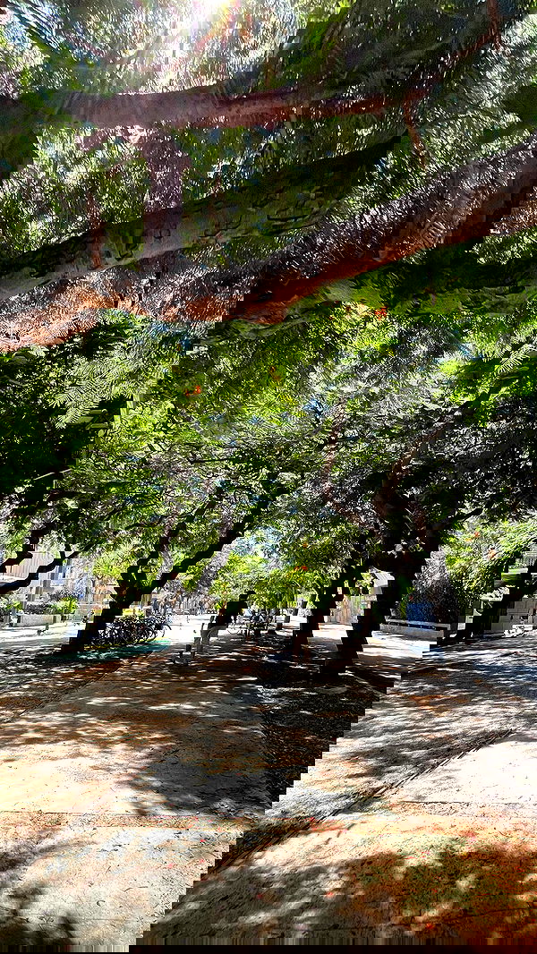 yaelxyazdi yaelxyazdi archive image