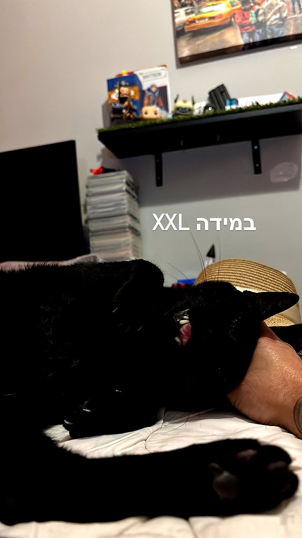 yahel.fx yahel.fx archive image