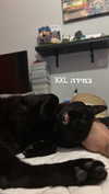 yahel.fx Altpins Profile Picture