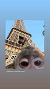 yahel.fx Altpins Profile Picture