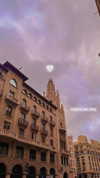 yahel_tubul Altpins Profile Picture