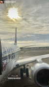 yahel_tubul Altpins Profile Picture
