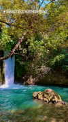 yahel_tubul Altpins Profile Picture