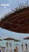 yahel_tubul Altpins Profile Picture