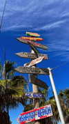 yahel_tubul Altpins Profile Picture