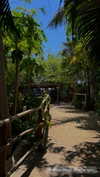 yahel_tubul Altpins Profile Picture