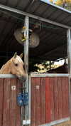 yahel_tubul Altpins Profile Picture