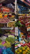 yahel_tubul Altpins Profile Picture