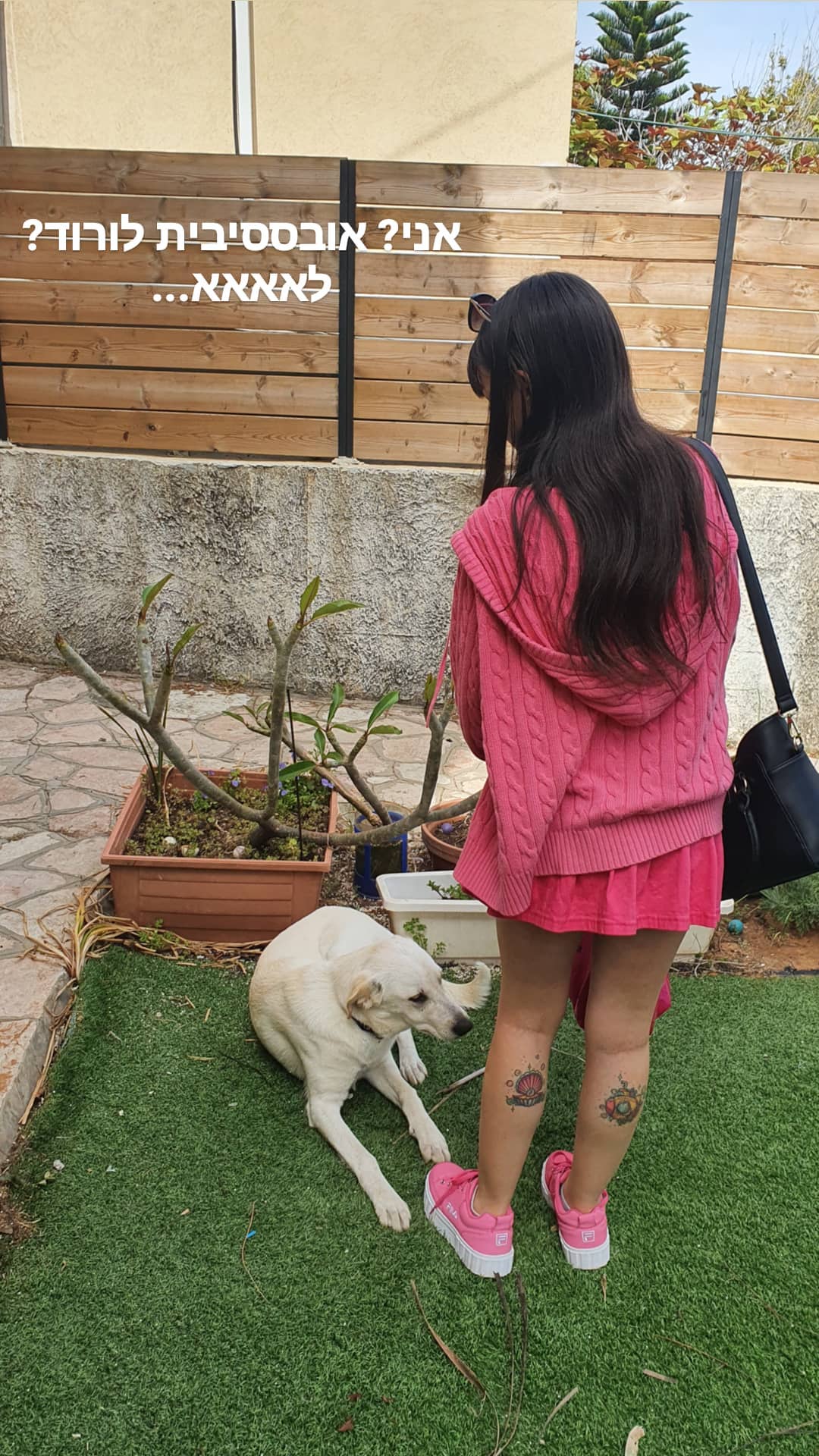 yam_adler instagram image archive image