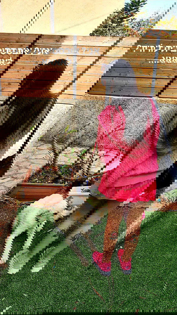 yam_adler image ~ Altpins