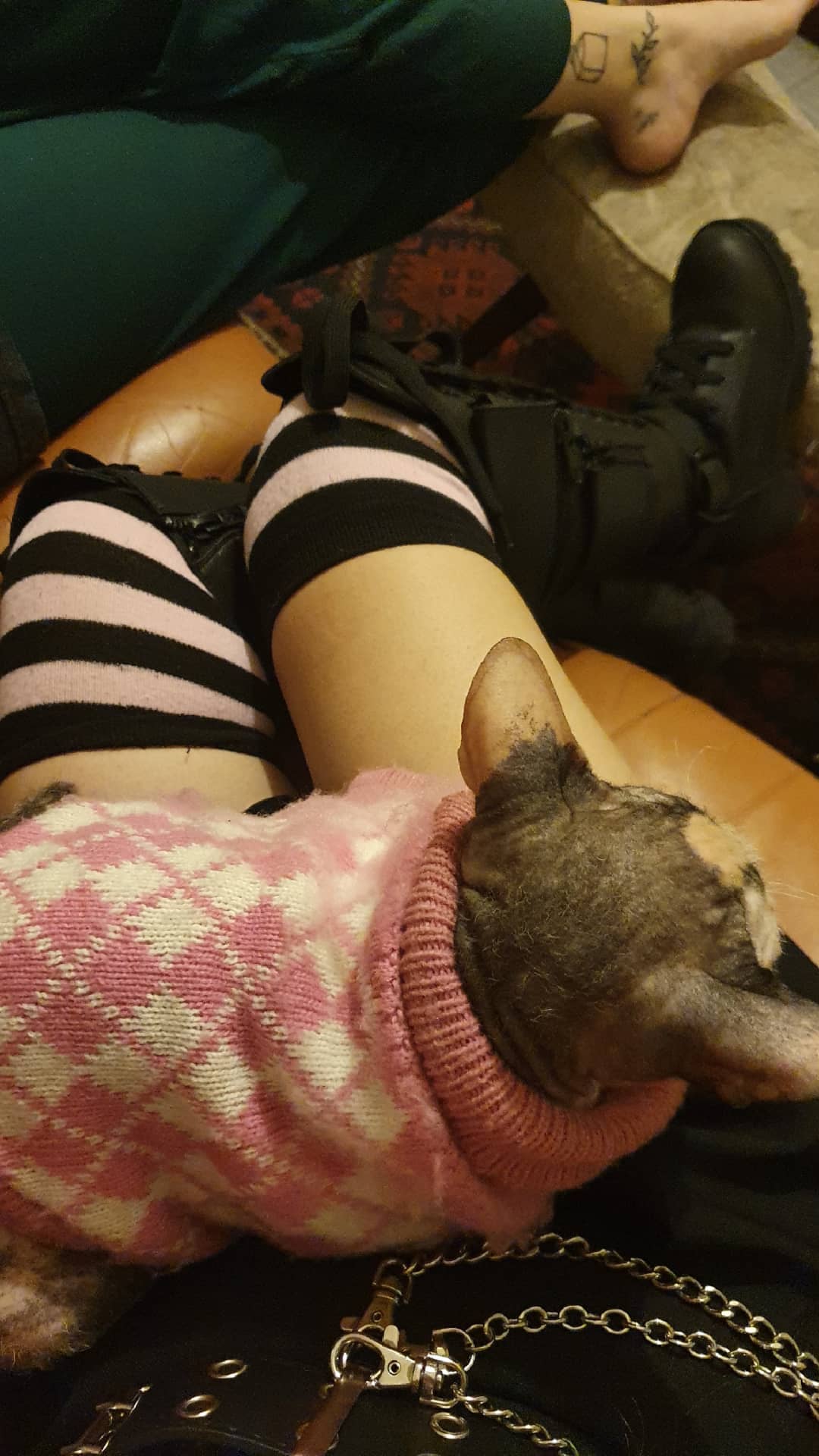 yam_adler instagram image archive image