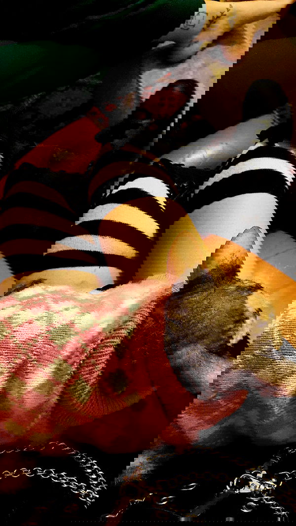 yam_adler image ~ Altpins