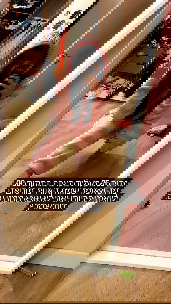 yam_adler image ~ Altpins