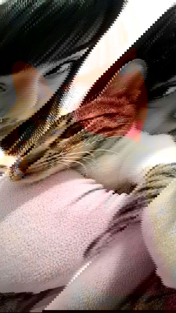 yam_adler image ~ Altpins