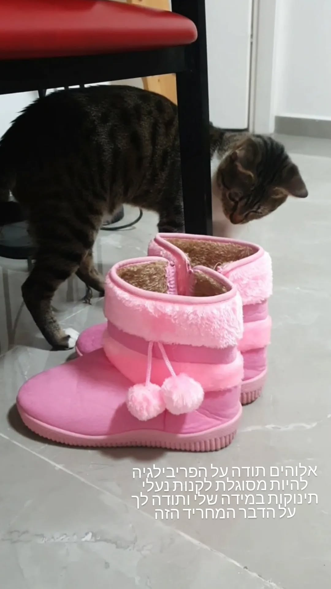 yam_adler instagram image archive image