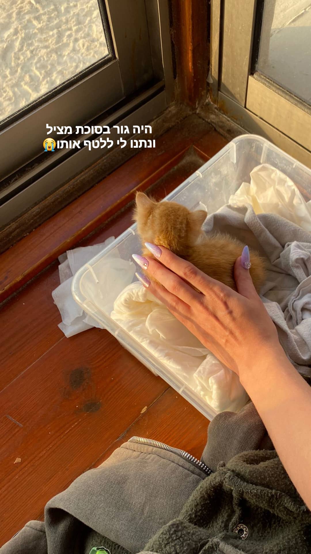 yam_adler instagram image archive image