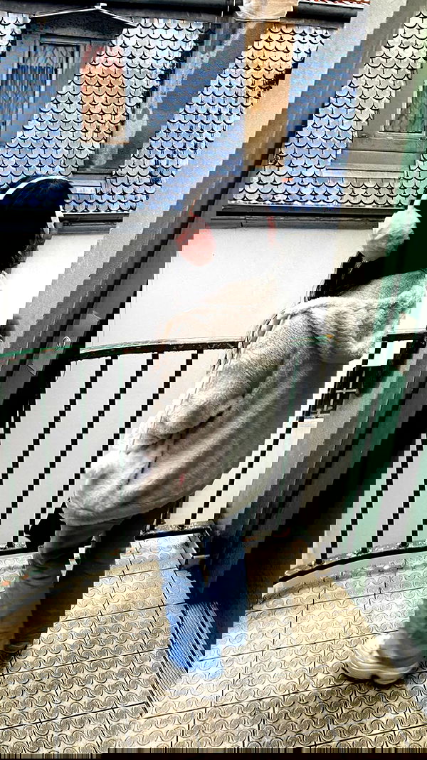 yam_adler image ~ Altpins