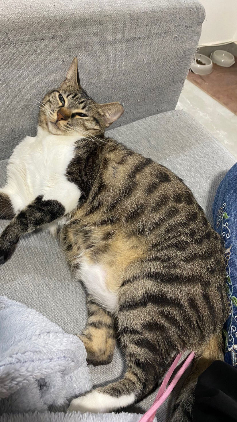 yam_adler instagram image archive image