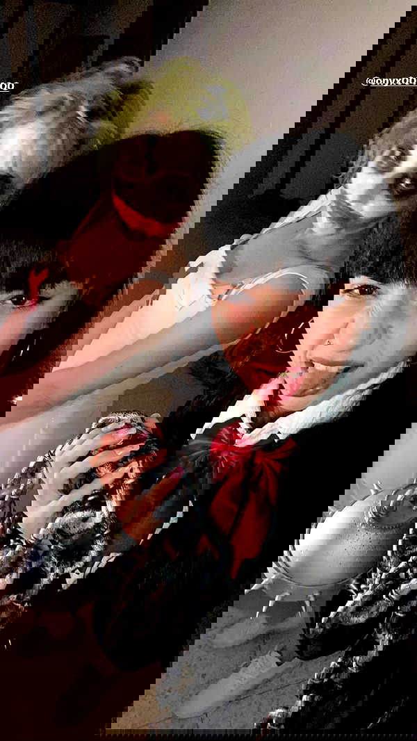 yam_adler image ~ Altpins