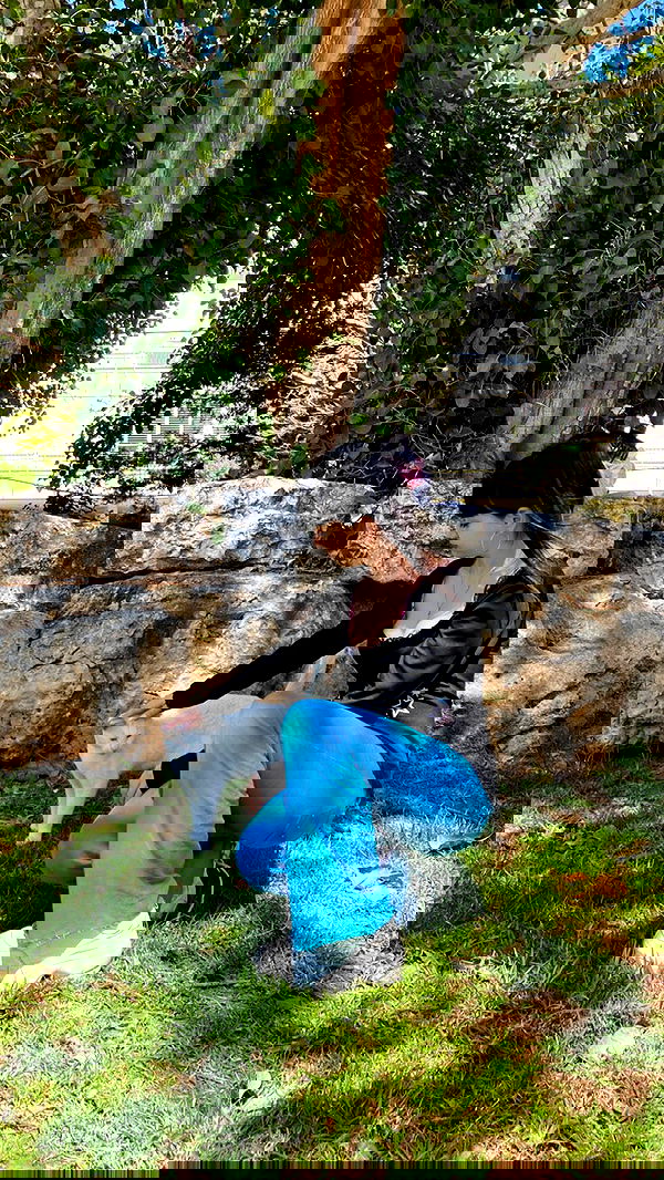 yam_adler image ~ Altpins