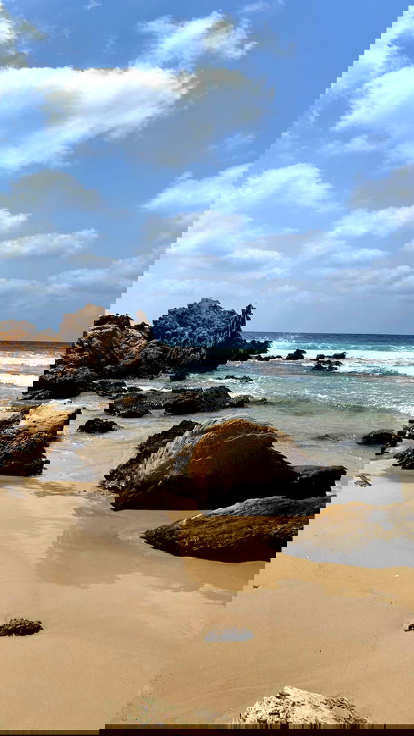 yam_adler image ~ Altpins