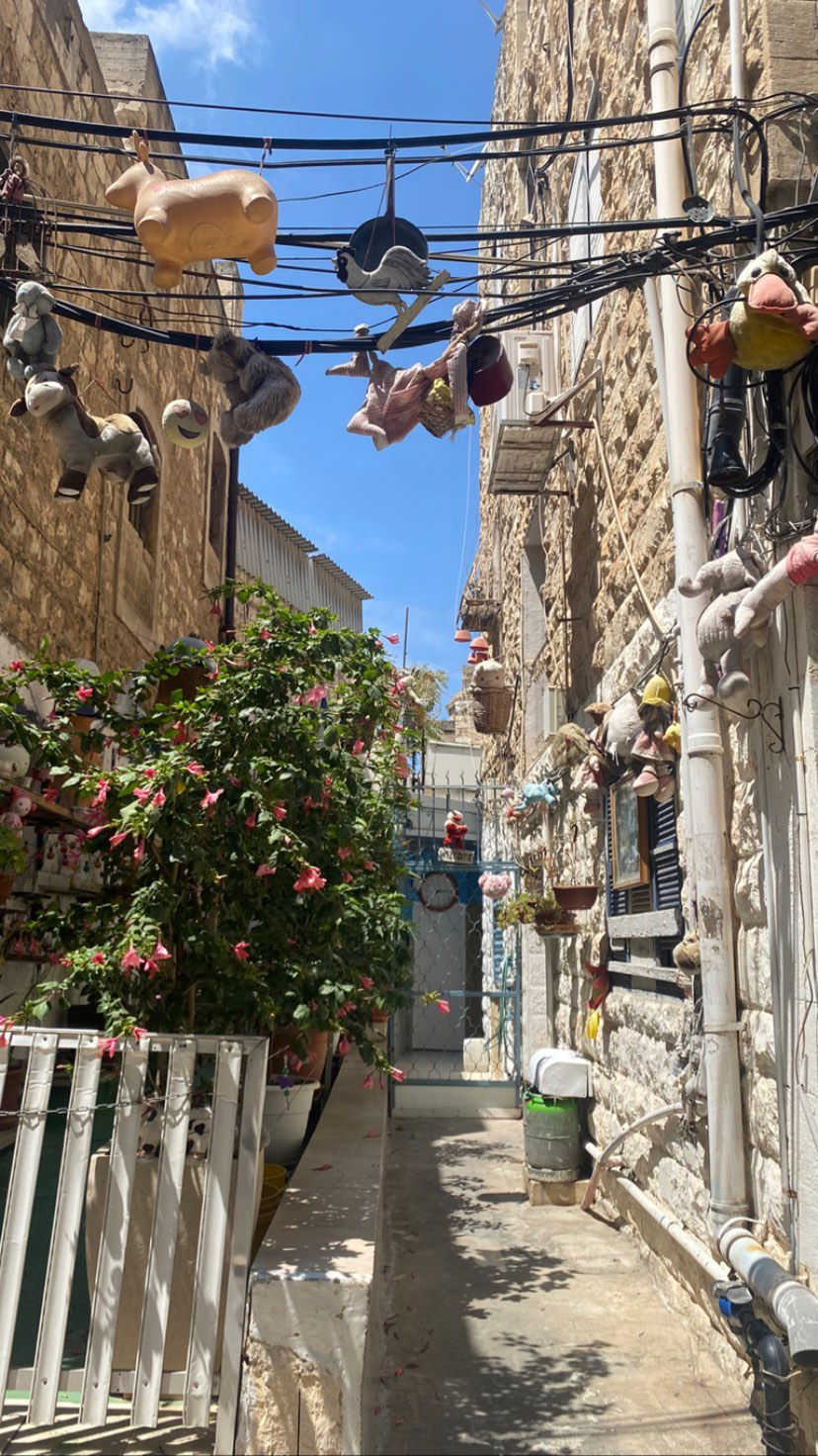 yam_adler instagram image archive image