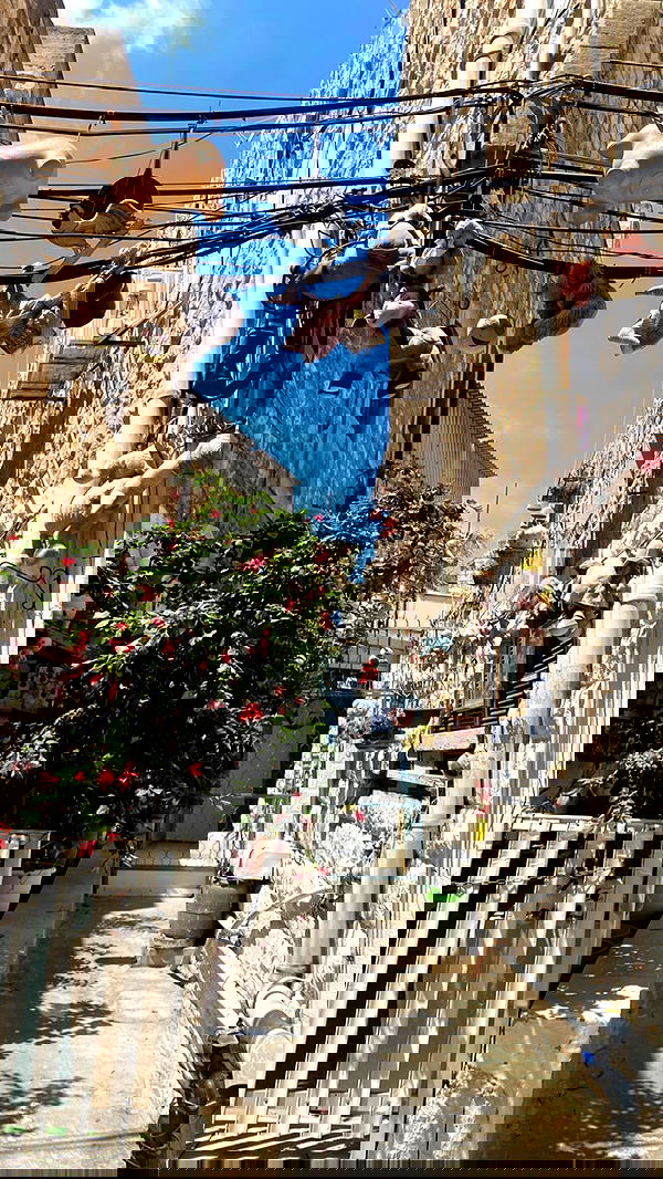 yam_adler image ~ Altpins