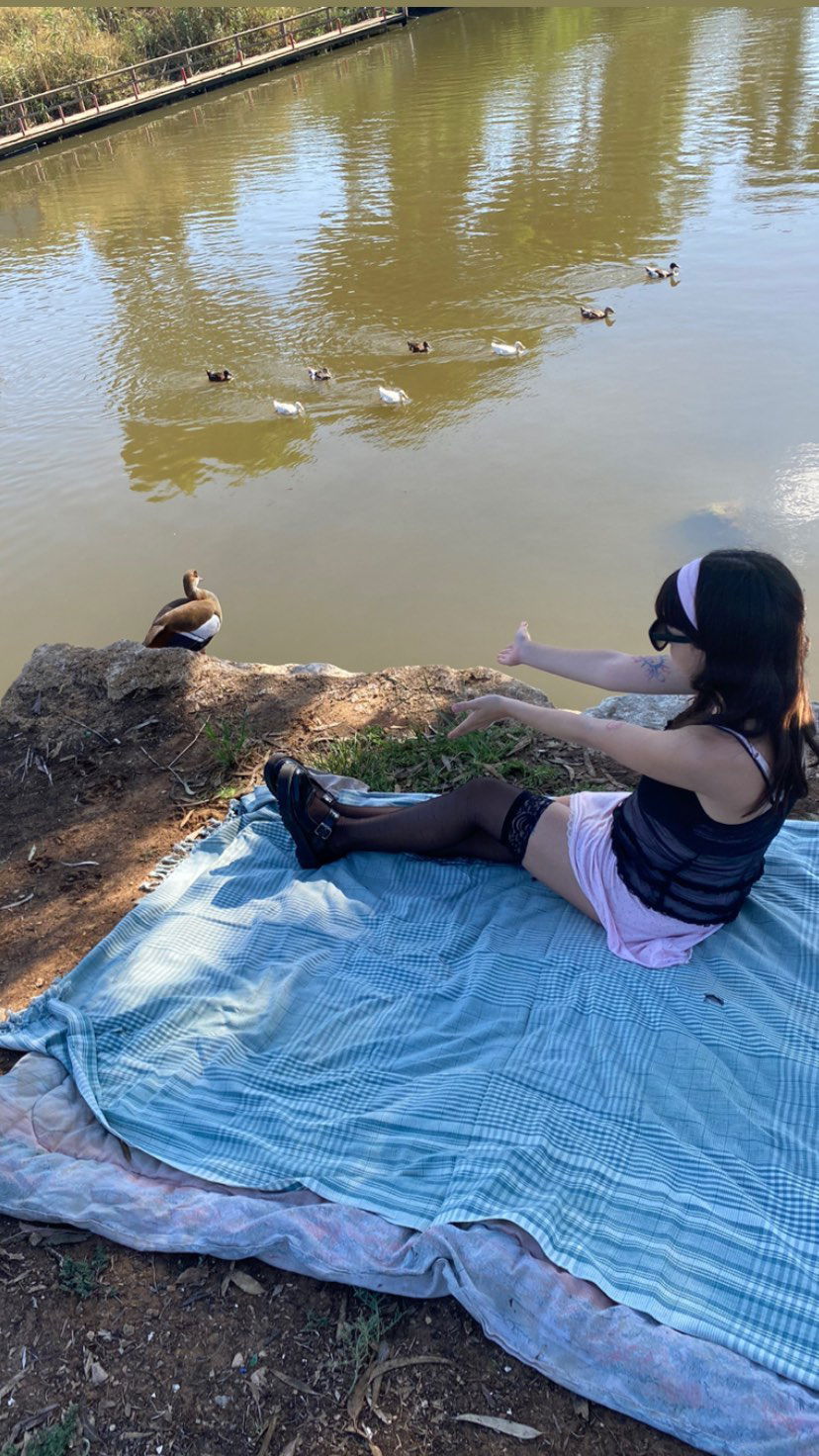 yam_adler instagram image archive image