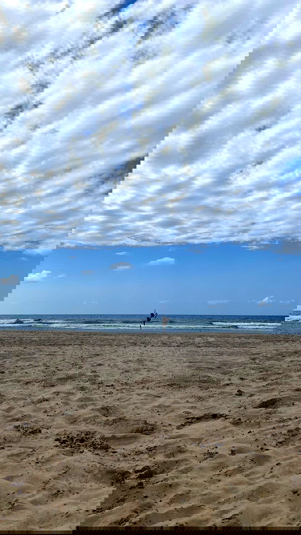 yam_adler image ~ Altpins