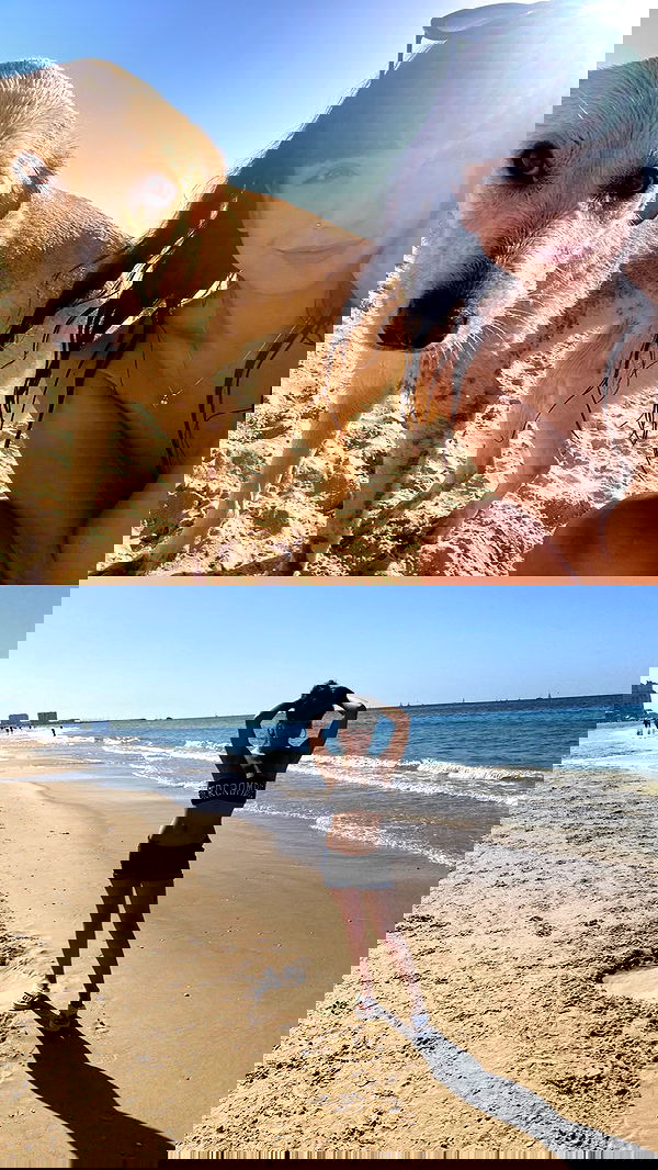 yam_adler image ~ Altpins