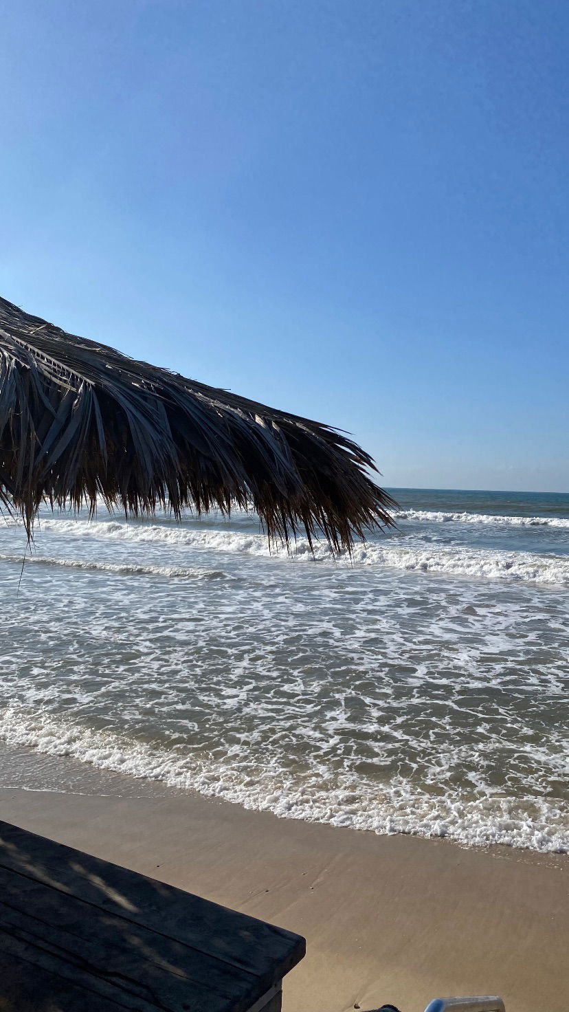 yam_adler instagram image archive image