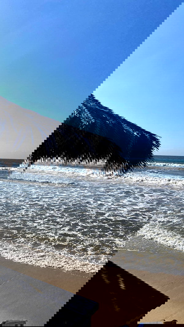 yam_adler image ~ Altpins