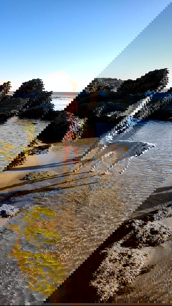 yam_adler image ~ Altpins