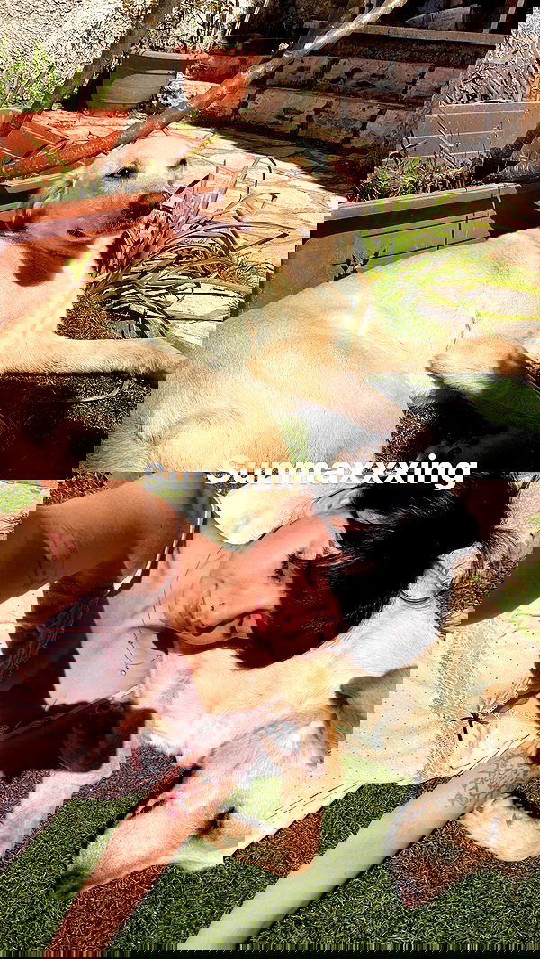 yam_adler image ~ Altpins