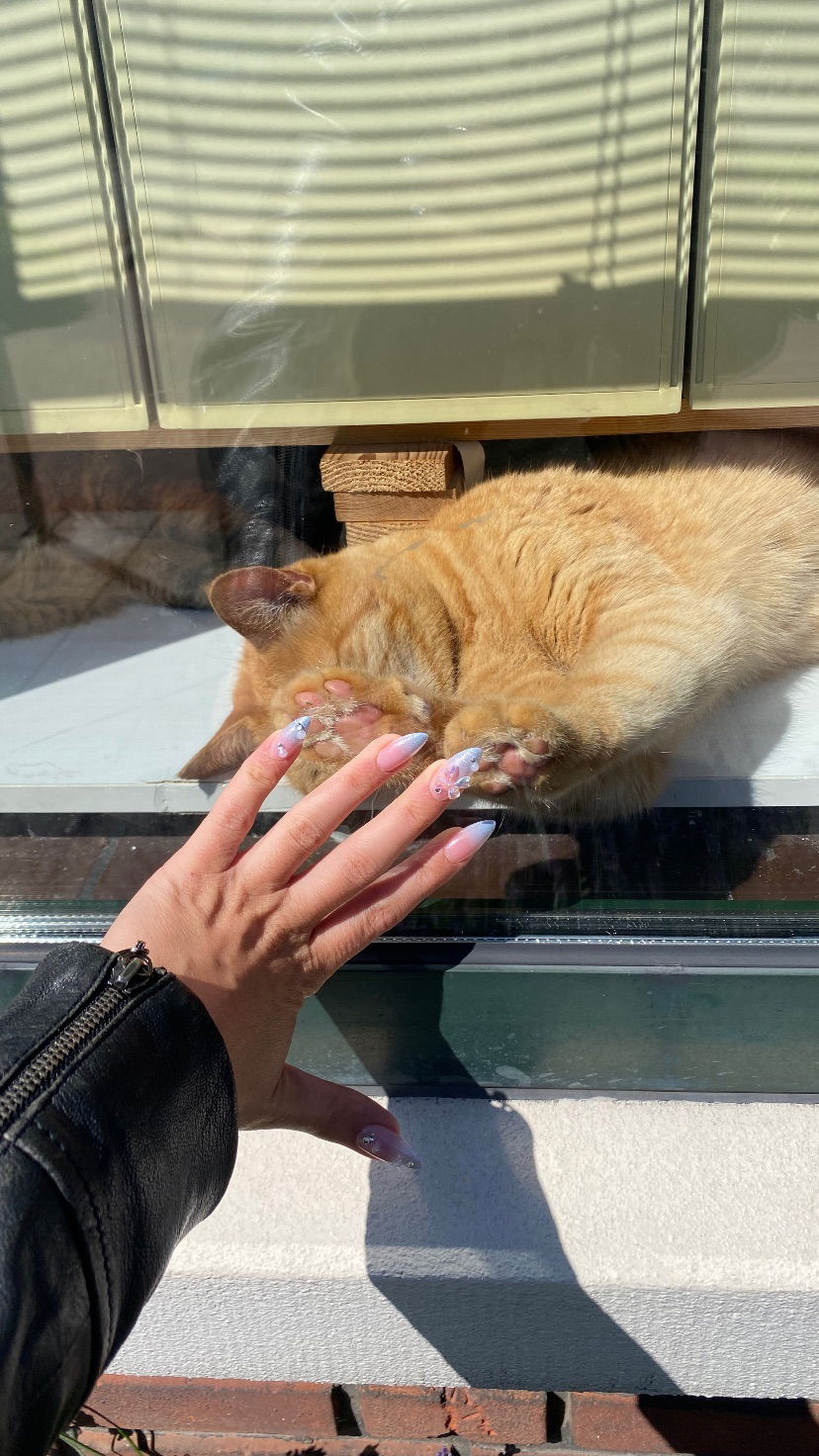 yam_adler instagram image archive image