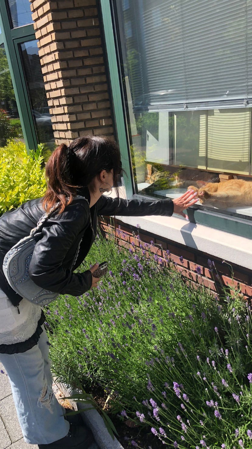 yam_adler instagram image archive image