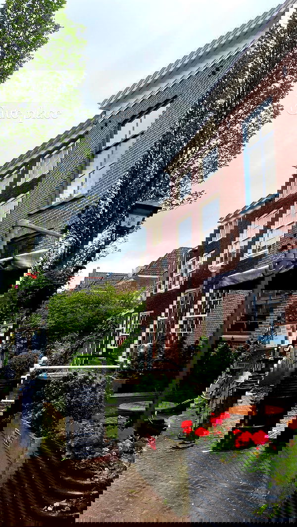 yam_adler image ~ Altpins