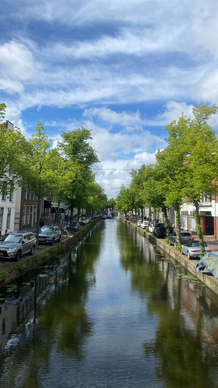 yam_adler instagram image archive image