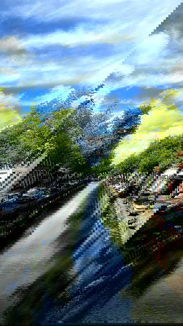 yam_adler image ~ Altpins