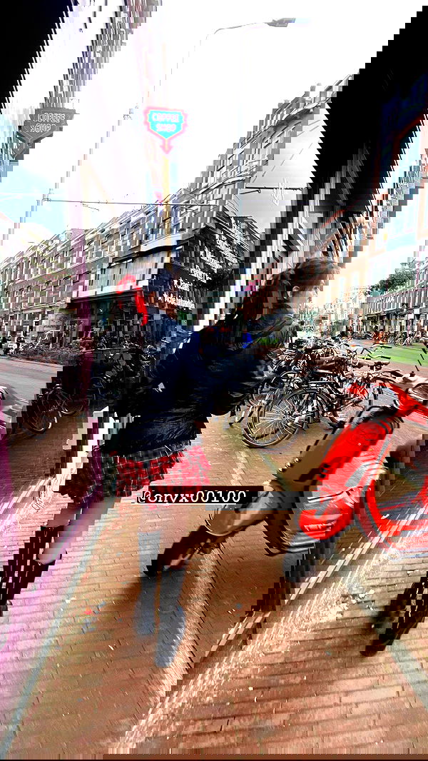 yam_adler image ~ Altpins