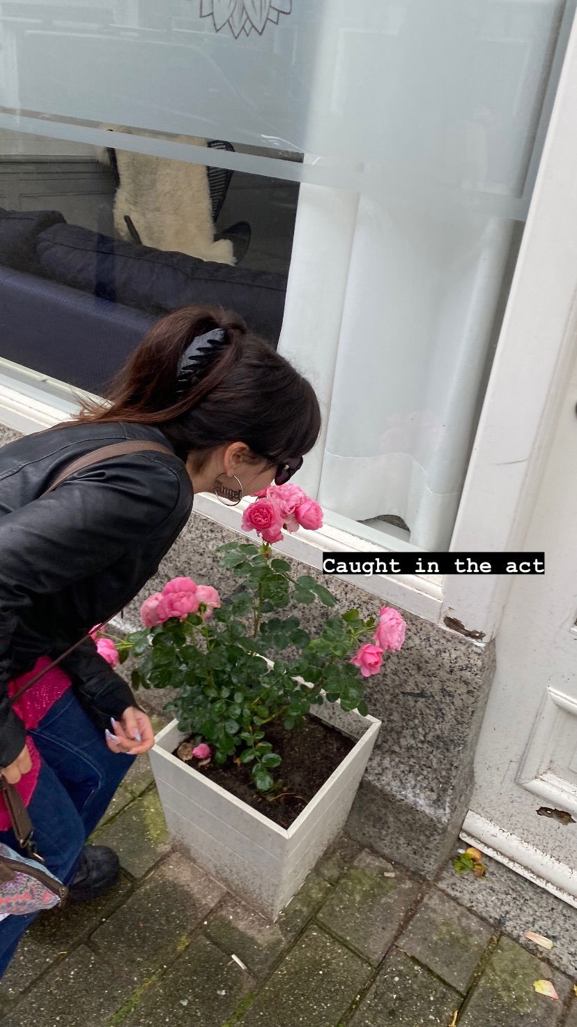 yam_adler instagram image archive image