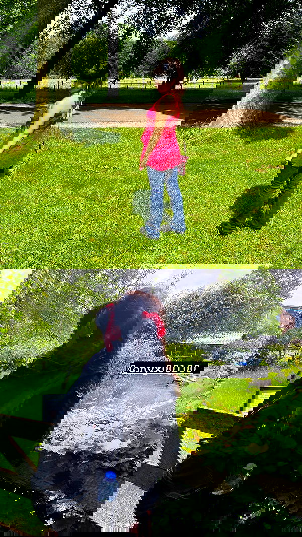 yam_adler image ~ Altpins