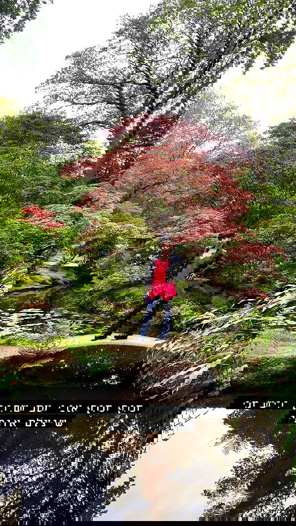 yam_adler image ~ Altpins