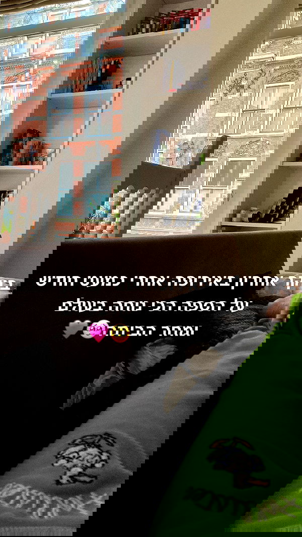 yam_adler image ~ Altpins