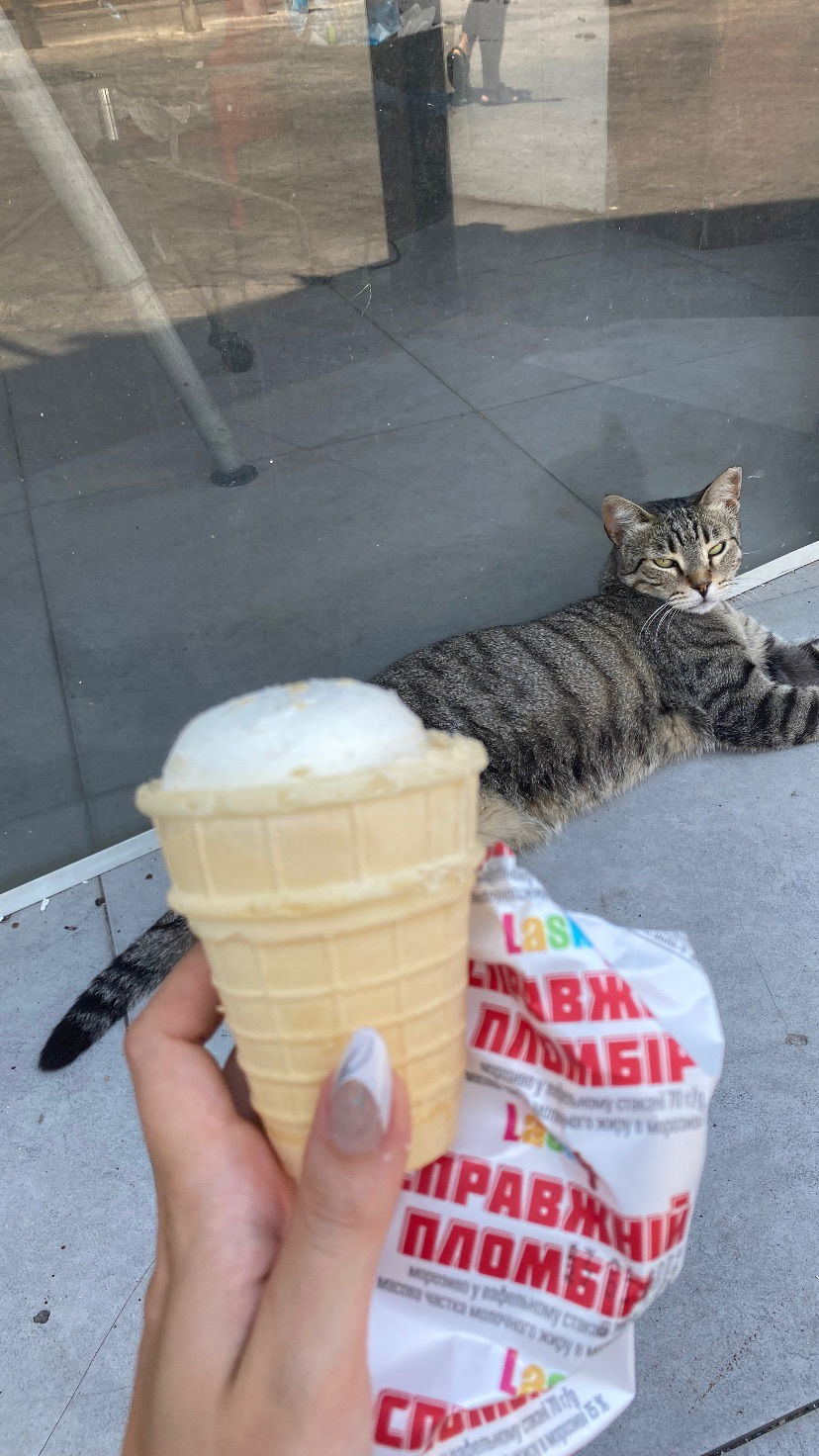 yam_adler instagram image archive image