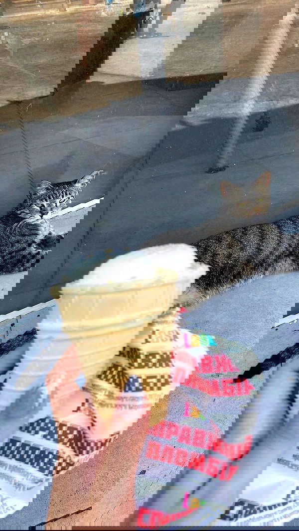 yam_adler image ~ Altpins