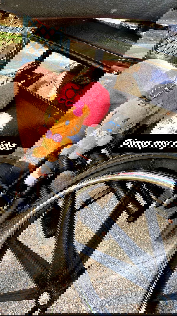 yam_adler image ~ Altpins